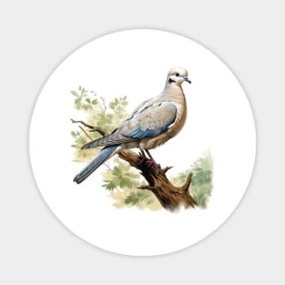 Collared Dove Magnet